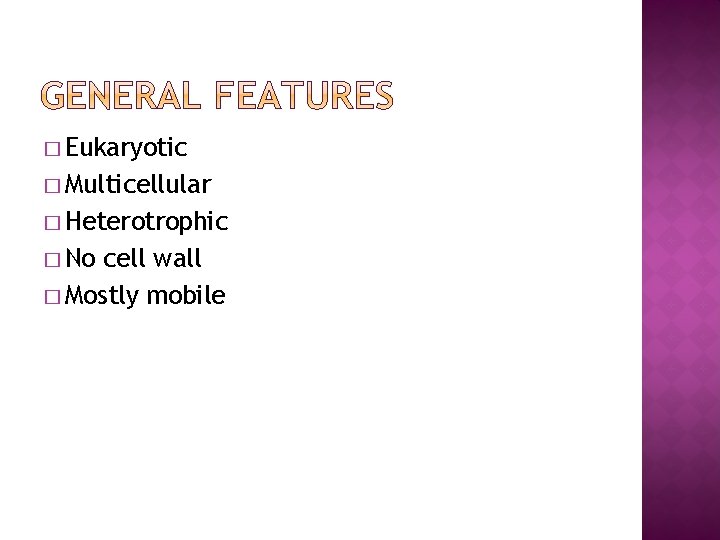 � Eukaryotic � Multicellular � Heterotrophic � No cell wall � Mostly mobile 