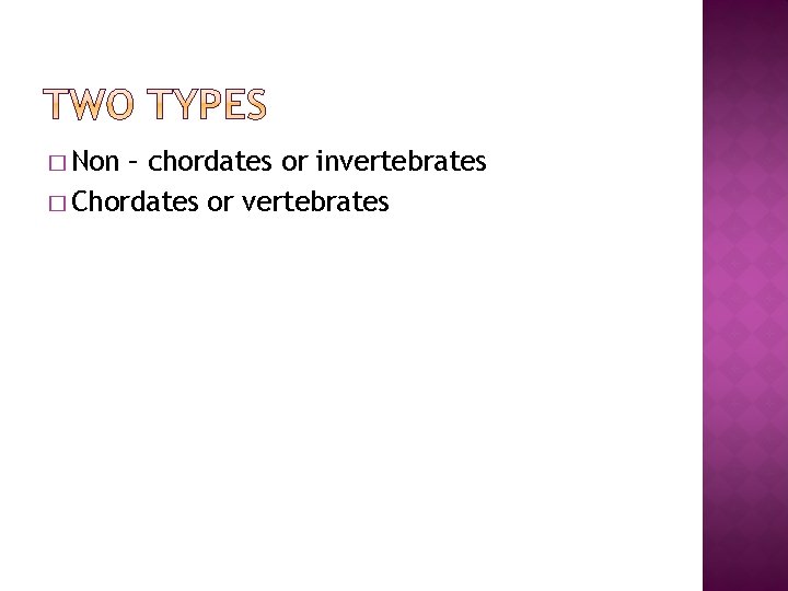 � Non – chordates or invertebrates � Chordates or vertebrates 