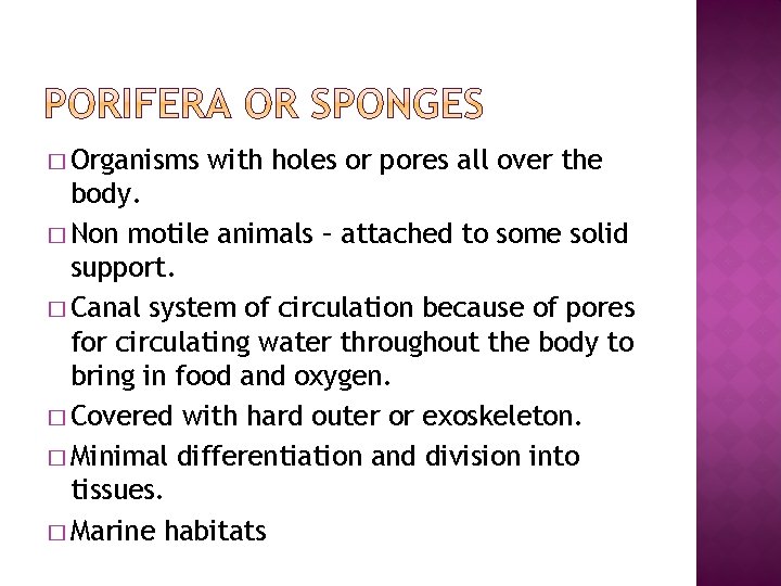 � Organisms with holes or pores all over the body. � Non motile animals