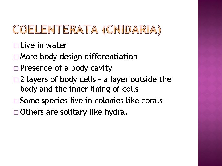 � Live in water � More body design differentiation � Presence of a body