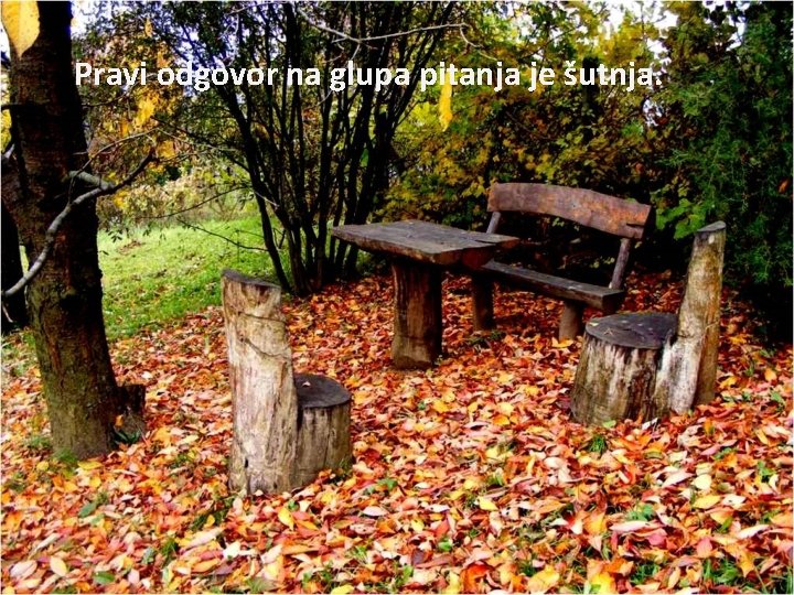 Pravi odgovor na glupa pitanja je šutnja. 