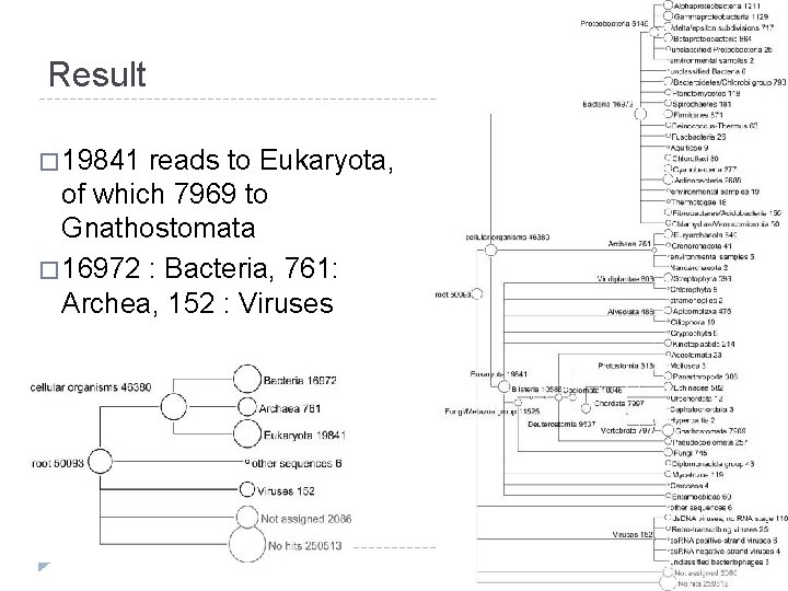 Result � 19841 reads to Eukaryota, of which 7969 to Gnathostomata � 16972 :
