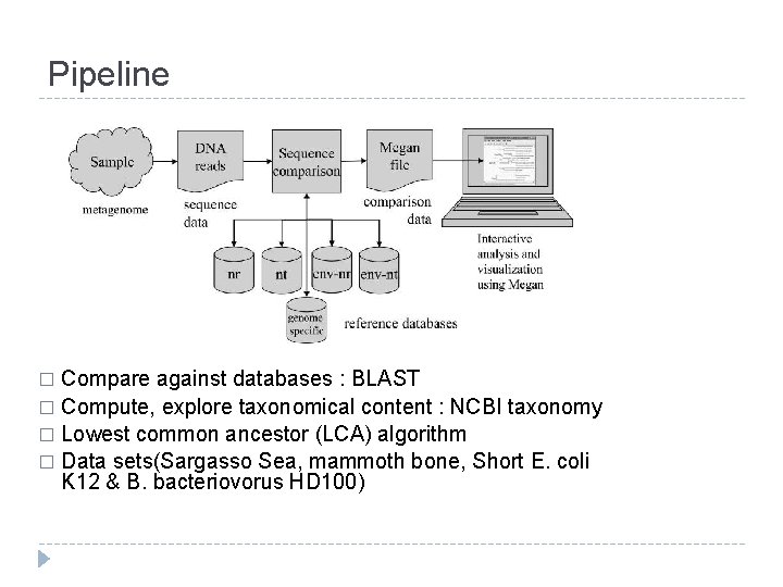 Pipeline Compare against databases : BLAST � Compute, explore taxonomical content : NCBI taxonomy