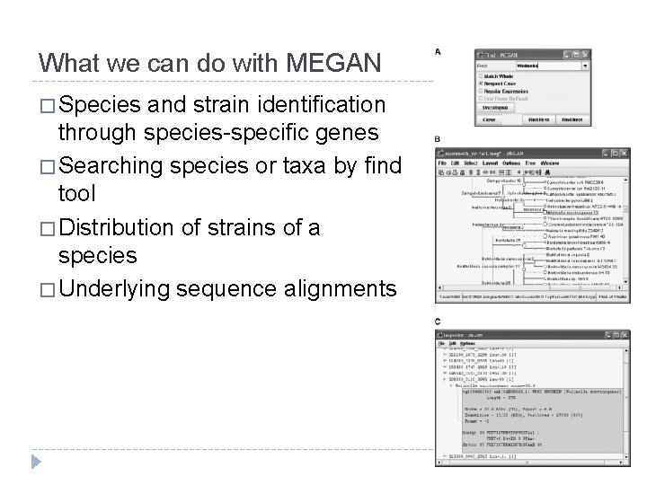 What we can do with MEGAN � Species and strain identification through species-specific genes