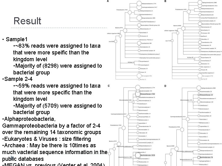 Result • Sample 1 • ~83% reads were assigned to taxa that were more