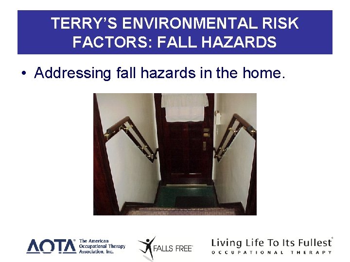 TERRY’S ENVIRONMENTAL RISK FACTORS: FALL HAZARDS • Addressing fall hazards in the home. 