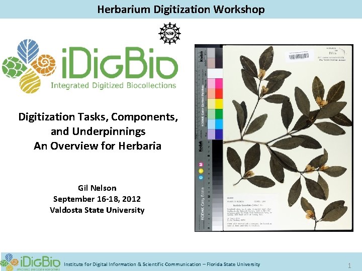 Herbarium Digitization Workshop Digitization Tasks, Components, and Underpinnings An Overview for Herbaria Gil Nelson