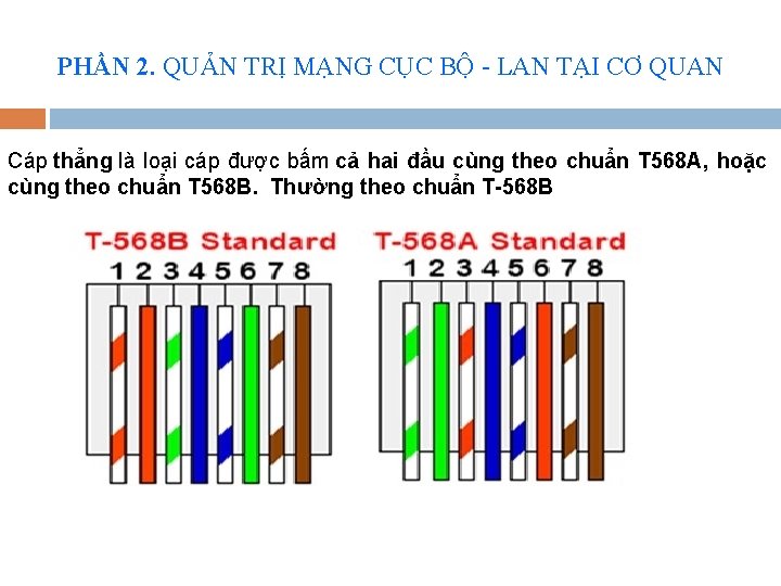 PHẦN 2. QUẢN TRỊ MẠNG CỤC BỘ - LAN TẠI CƠ QUAN Cáp thẳng