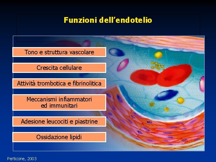 Funzioni dell’endotelio Tono e struttura vascolare Crescita cellulare Attività trombotica e fibrinolitica Meccanismi infiammatori