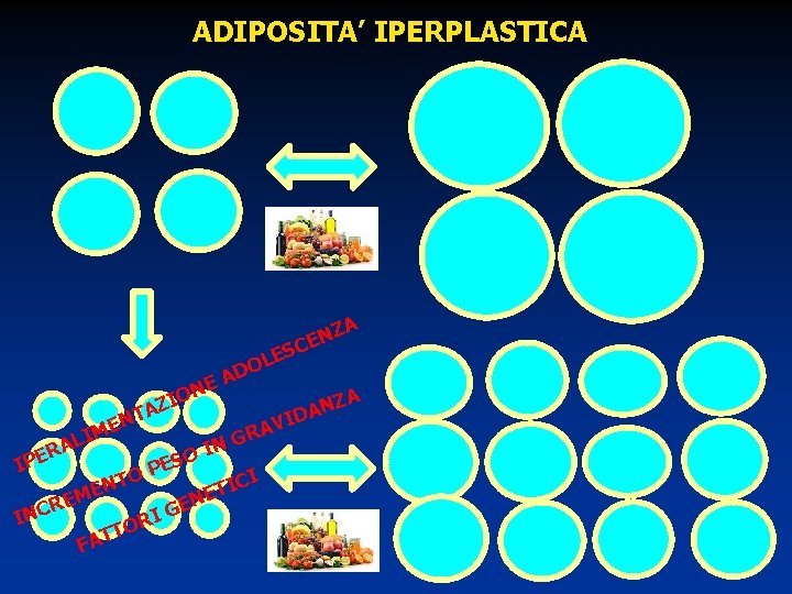 ADIPOSITA’ IPERPLASTICA A E N ZIO O AD TA R IPE EN M I