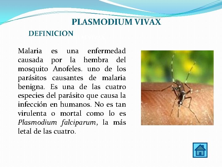 PLASMODIUM VIVAX DEFINICION PLASMODIUM VIVAX Malaria es una enfermedad causada por la hembra del