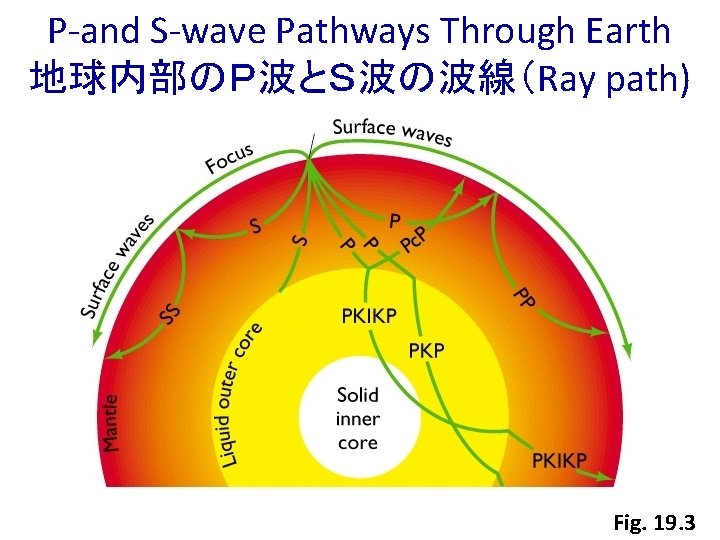 P-and S-wave Pathways Through Earth 地球内部のＰ波とＳ波の波線（Ray path) Fig. 19. 3 
