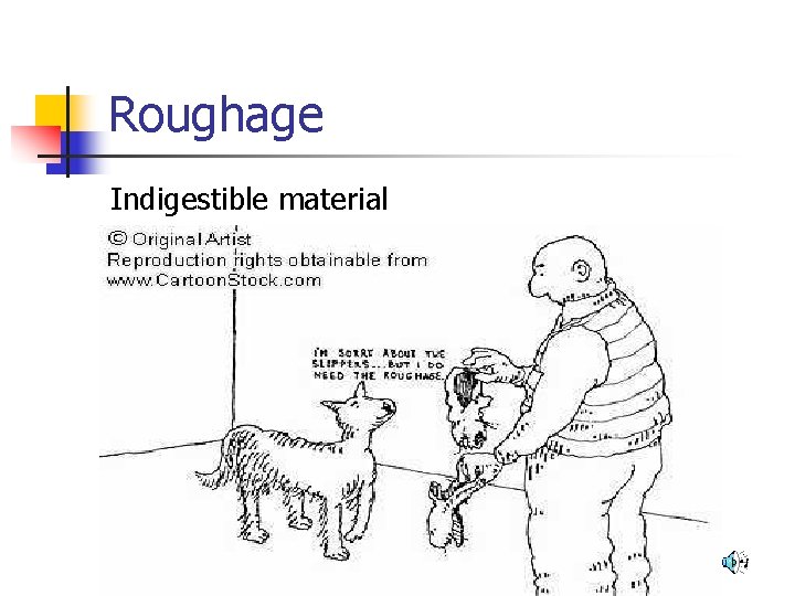 Roughage Indigestible material 