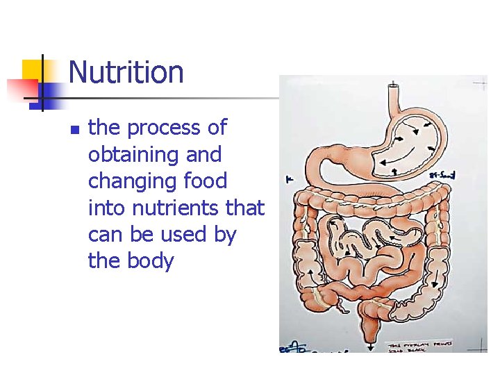 Nutrition n the process of obtaining and changing food into nutrients that can be