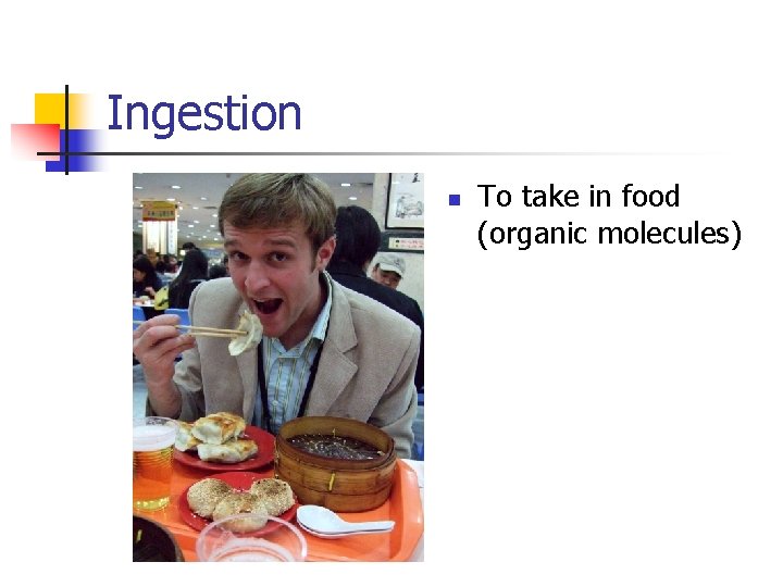 Ingestion n To take in food (organic molecules) 