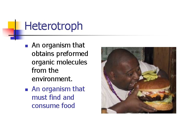 Heterotroph n n An organism that obtains preformed organic molecules from the environment. An