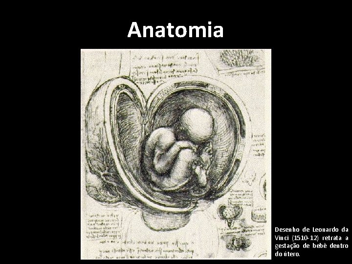 Anatomia Desenho de Leonardo da Vinci (1510 -12) retrata a gestação de bebê dentro Anatomia Desenho de Leonardo da Vinci (1510 -12) retrata a gestação de bebê dentro