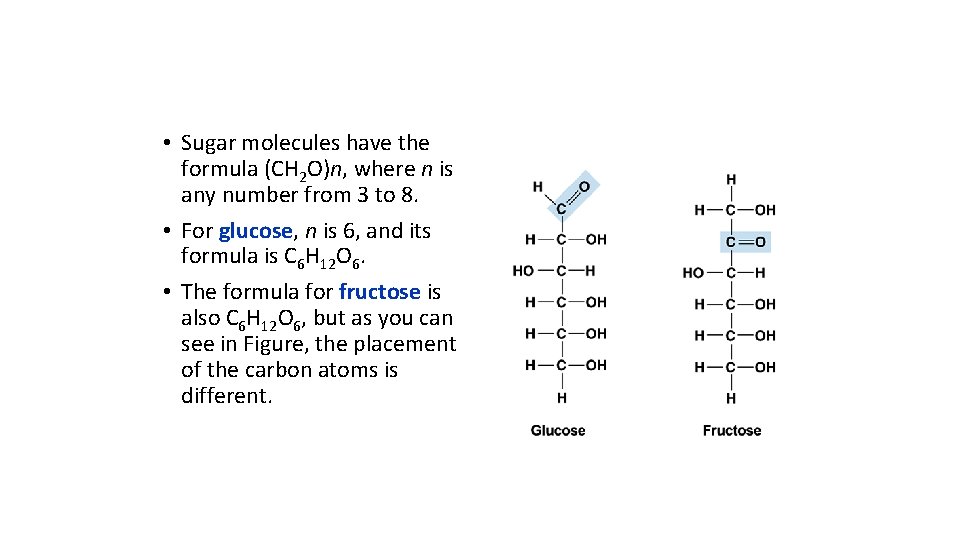  • Sugar molecules have the formula (CH 2 O)n, where n is any