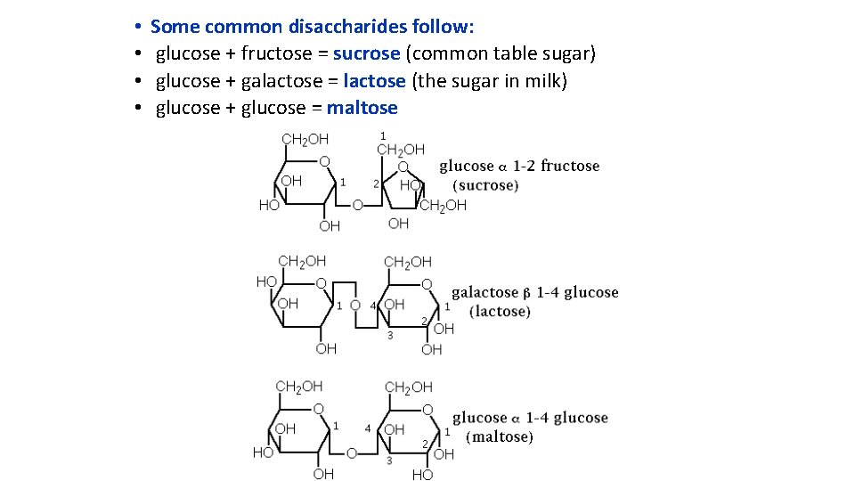  • • Some common disaccharides follow: glucose + fructose = sucrose (common table