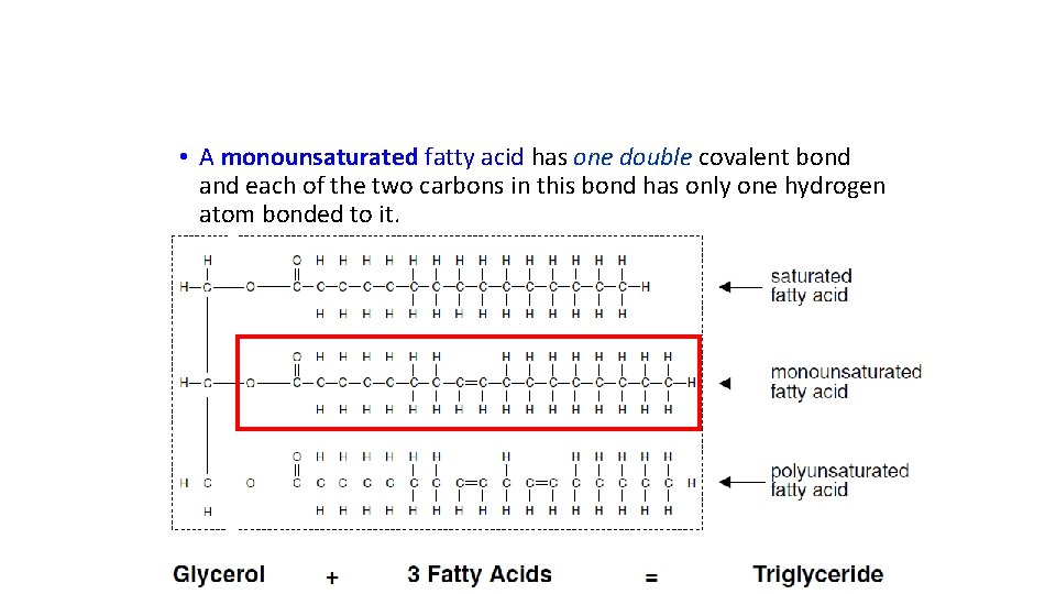  • A monounsaturated fatty acid has one double covalent bond and each of