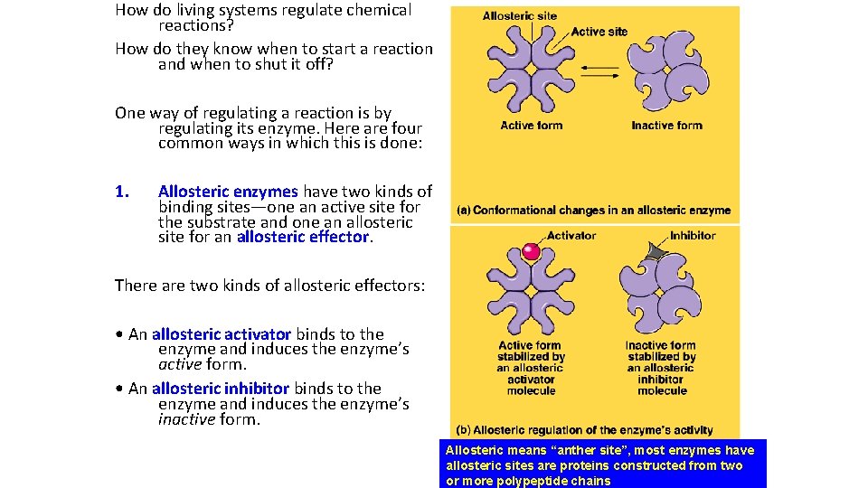 How do living systems regulate chemical reactions? How do they know when to start