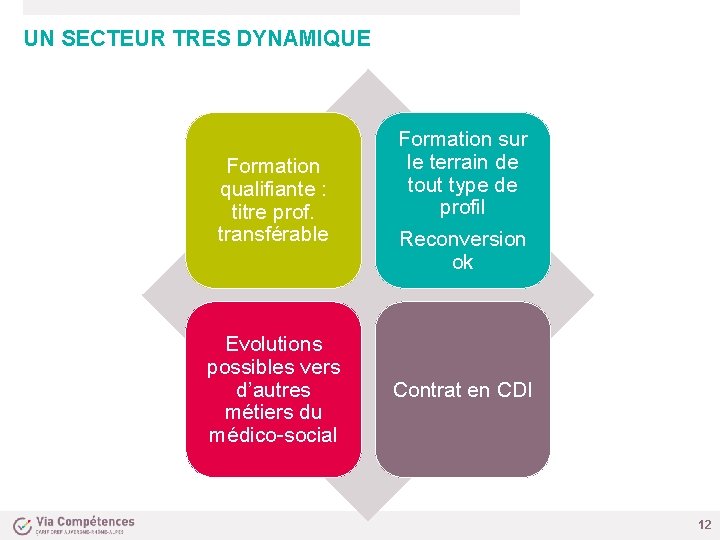 UN SECTEUR TRES DYNAMIQUE Formation qualifiante : titre prof. transférable Formation sur le terrain
