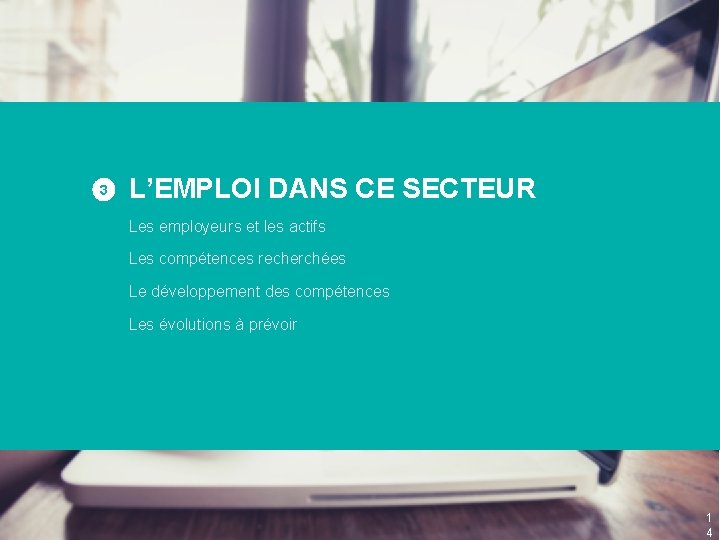 3 L’EMPLOI DANS CE SECTEUR Les employeurs et les actifs Les compétences recherchées Le