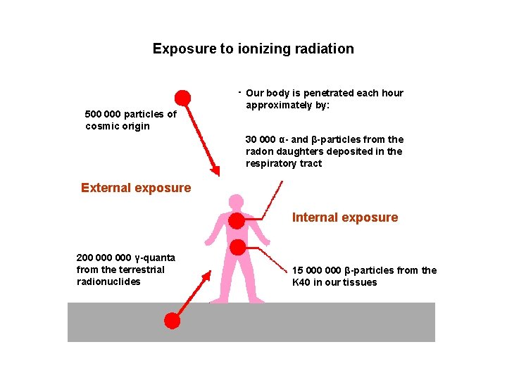 Exposure to ionizing radiation 500 000 particles of cosmic origin Our body is penetrated Exposure to ionizing radiation 500 000 particles of cosmic origin Our body is penetrated