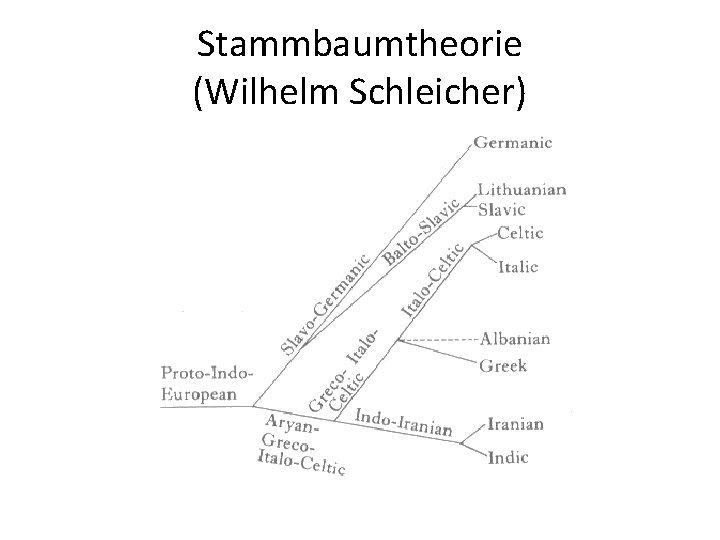 Stammbaumtheorie (Wilhelm Schleicher) 