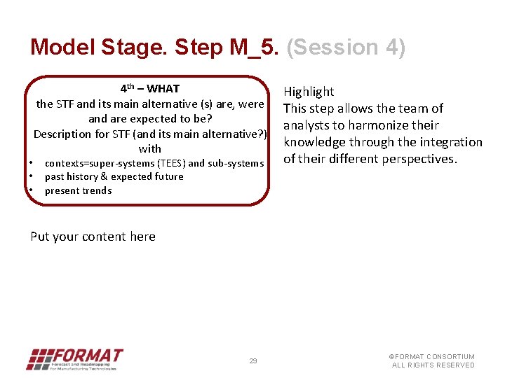 Model Stage. Step M_5. (Session 4) 4 th – WHAT the STF and its