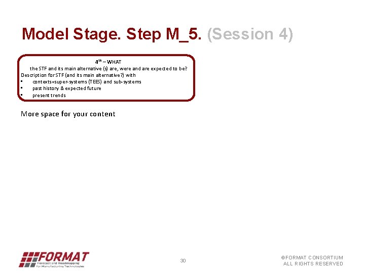 Model Stage. Step M_5. (Session 4) 4 th – WHAT the STF and its