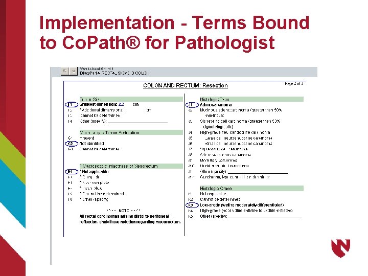 Implementation - Terms Bound to Co. Path® for Pathologist 