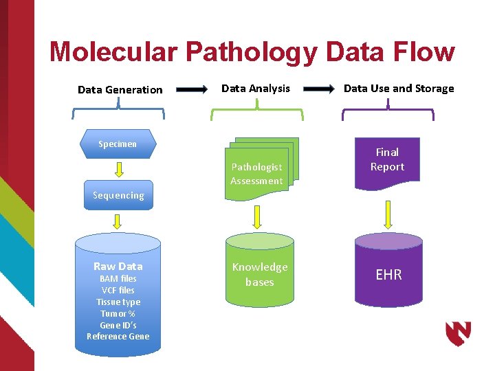 Molecular Pathology Data Flow Data Generation Data Analysis Specimen Pathologist Assessment Data Use and