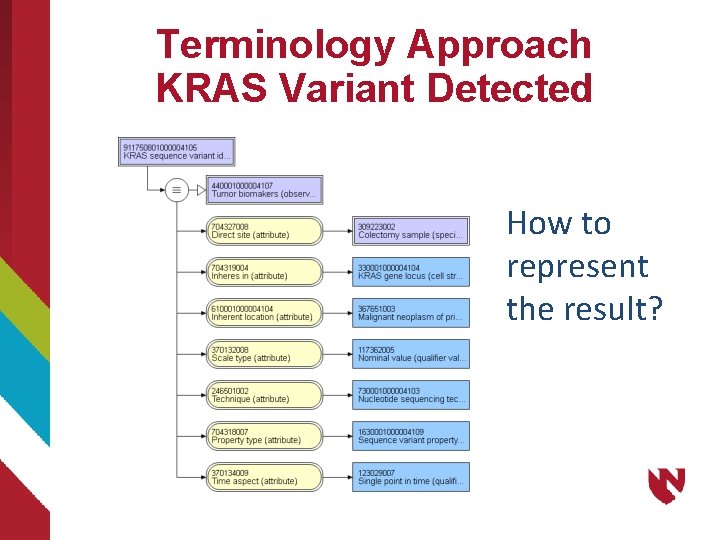 Terminology Approach KRAS Variant Detected How to represent the result? 