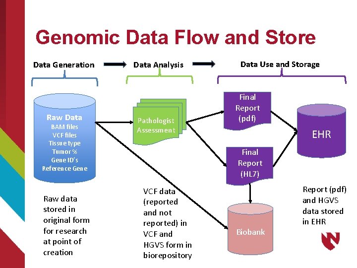 Genomic Data Flow and Store Data Generation Raw Data BAM files VCF files Tissue