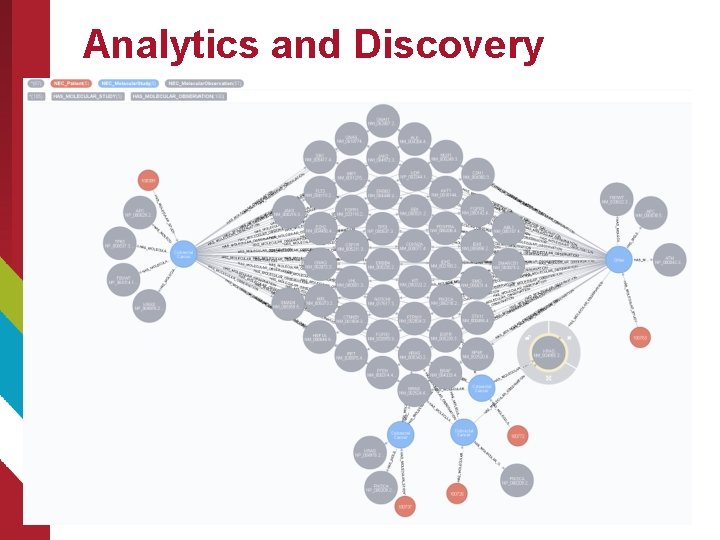 Analytics and Discovery 