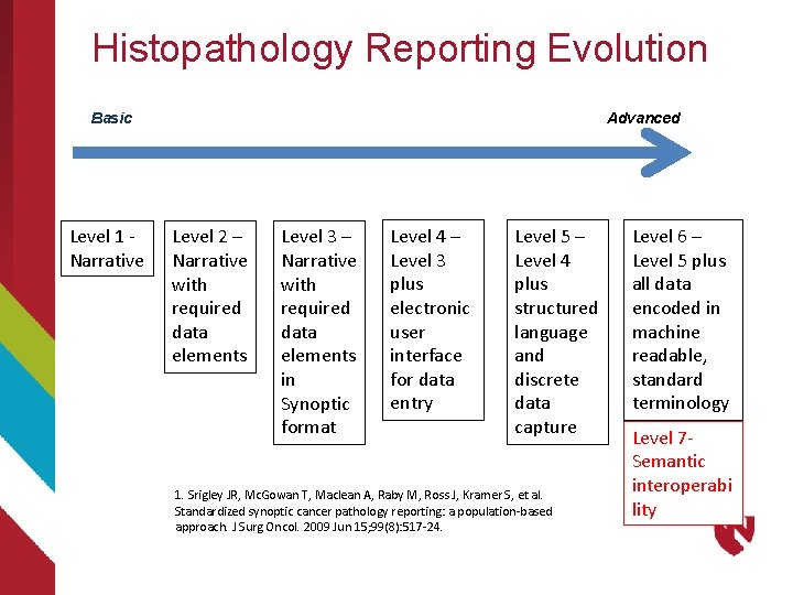 Histopathology Reporting Evolution Basic Level 1 - Narrative Advanced Level 2 – Narrative with