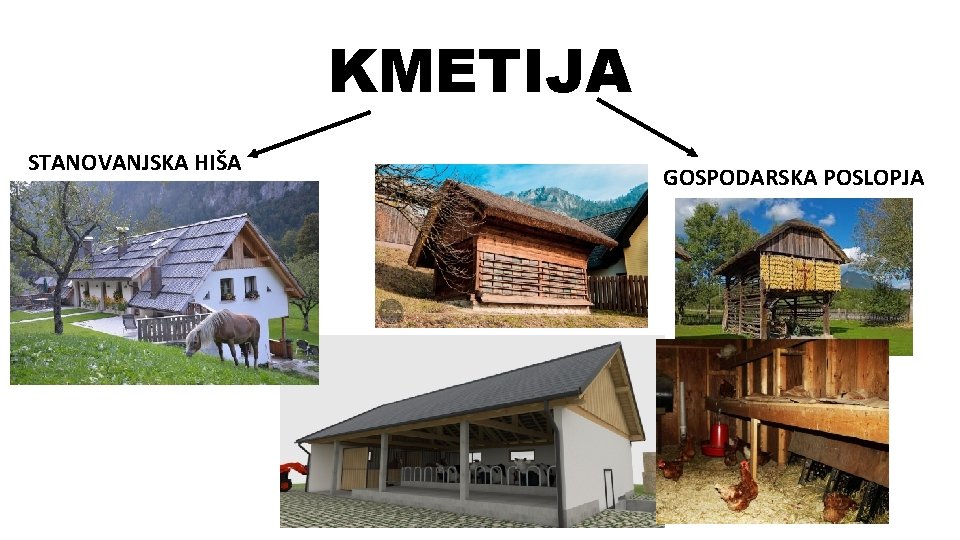 KMETIJA STANOVANJSKA HIŠA GOSPODARSKA POSLOPJA 