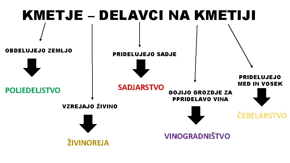 KMETJE – DELAVCI NA KMETIJI OBDELUJEJO ZEMLJO PRIDELUJEJO SADJE SADJARSTVO POLJEDELJSTVO VZREJAJO ŽIVINO PRIDELUJEJO