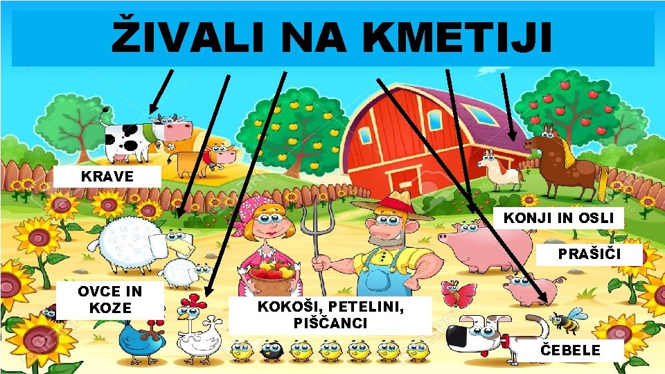 ŽIVALI NA KMETIJI KRAVE KONJI IN OSLI PRAŠIČI OVCE IN KOZE KOKOŠI, PETELINI, PIŠČANCI