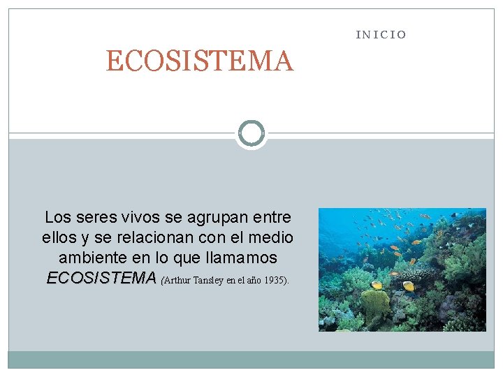 INICIO ECOSISTEMA Los seres vivos se agrupan entre ellos y se relacionan con el