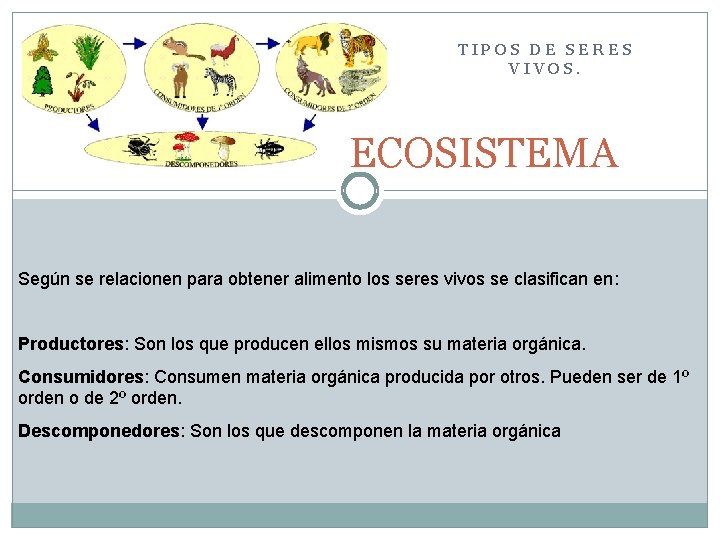 TIPOS DE SERES VIVOS. ECOSISTEMA Según se relacionen para obtener alimento los seres vivos
