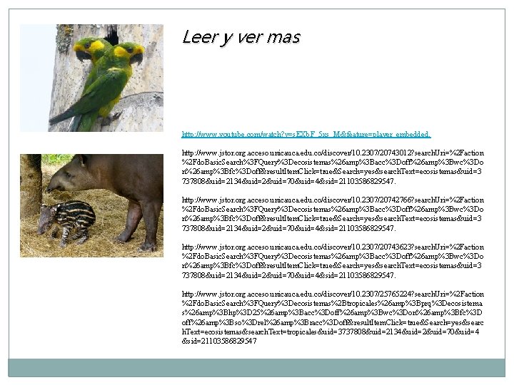 Leer y ver mas http: //www. youtube. com/watch? v=s. EXb. F_5 xs_M&feature=player_embedded. http: //www.