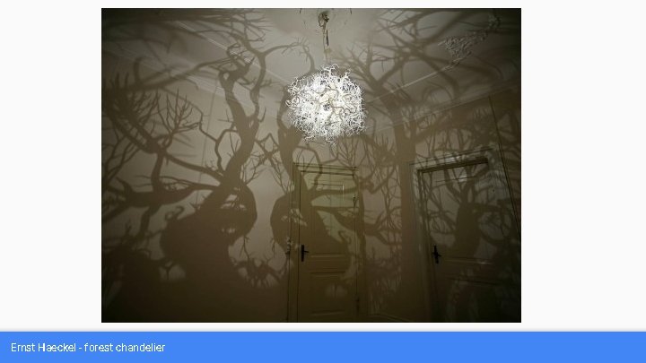Ernst Haeckel - forest chandelier 