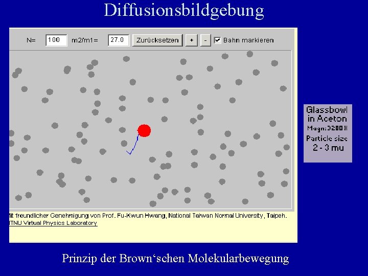 Diffusionsbildgebung Prinzip der Brown‘schen Molekularbewegung 