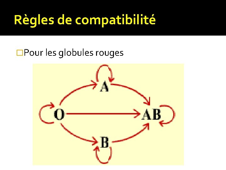 Règles de compatibilité �Pour les globules rouges Règles de compatibilité �Pour les globules rouges