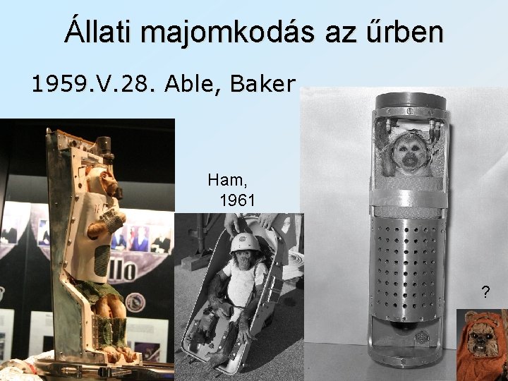 Állati majomkodás az űrben 1959. V. 28. Able, Baker Ham, 1961 ? 