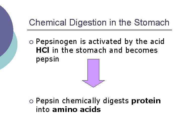Chemical Digestion in the Stomach ¡ ¡ Pepsinogen is activated by the acid HCl Chemical Digestion in the Stomach ¡ ¡ Pepsinogen is activated by the acid HCl