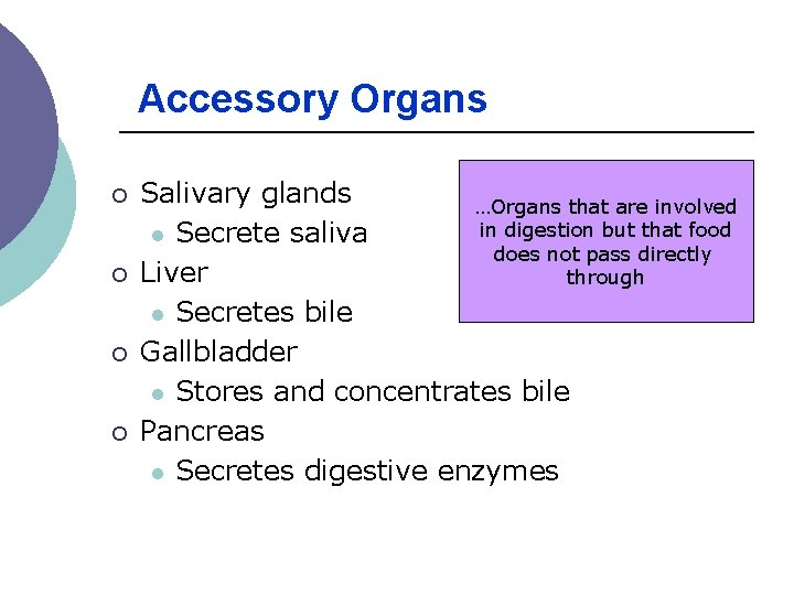 Accessory Organs ¡ ¡ Salivary glands …Organs that are involved in digestion but that Accessory Organs ¡ ¡ Salivary glands …Organs that are involved in digestion but that