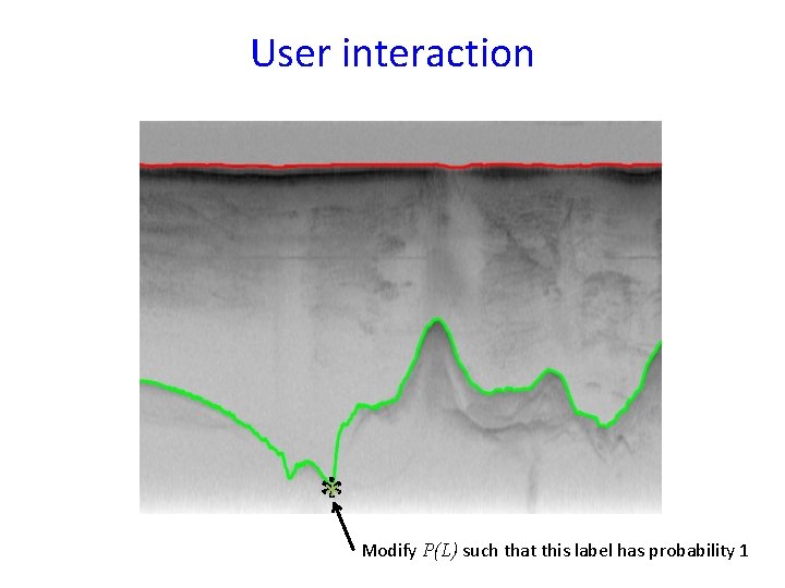 User interaction ** Modify P(L) such that this label has probability 1 